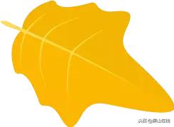 彝族节日一览表(倒计时三天这才是屏山彝族年的正确打开方式)(4)