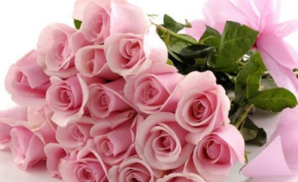 粉红色玫瑰代表什么,粉色玫瑰花代表什么意思啊图3