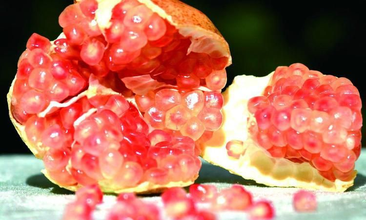 怎样判断石榴粒坏了图片