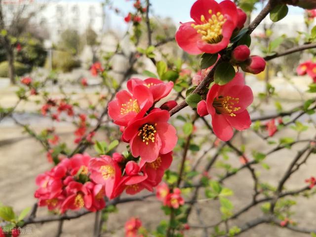 亲爱的你到底在哪里我好想你句子(亲爱的我爱你千言万语汇成一句)(3)