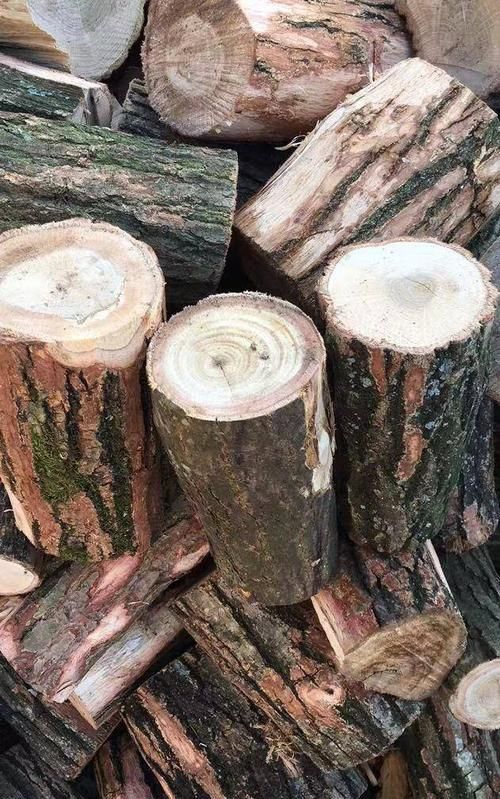 哪里有收购杜仲树皮的