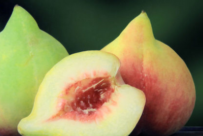 ​鹰嘴桃的皮可不可以吃,连平鹰嘴桃的桃胶能吃