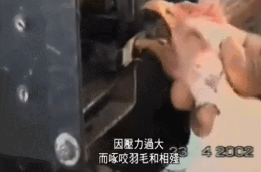 太奇葩！乌克兰绑匪劫持公交发起枪战，只为逼总统录小视频？