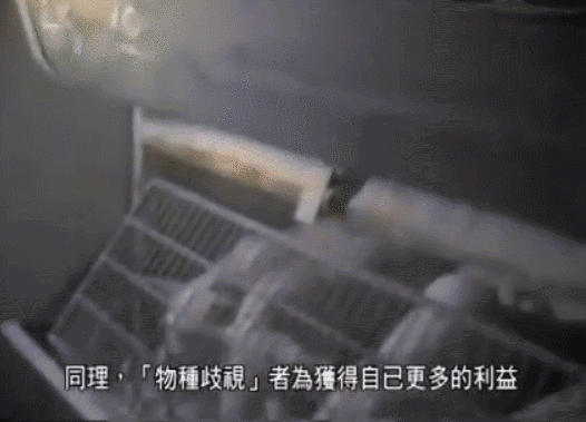 太奇葩！乌克兰绑匪劫持公交发起枪战，只为逼总统录小视频？