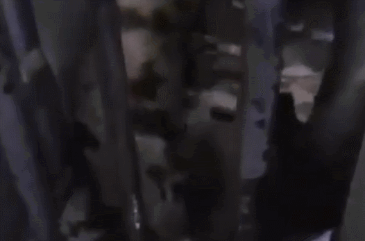 太奇葩！乌克兰绑匪劫持公交发起枪战，只为逼总统录小视频？