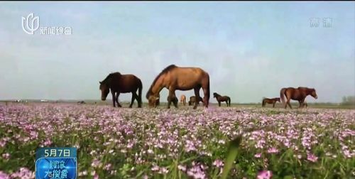 四季的雅称两个字