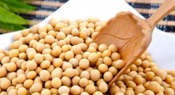 0大雌性激素多的食物,雌激素含量高的食物和水果有哪些图6