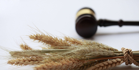 四种粮食作物分别是什么,主要的四种粮食作物是什么图5