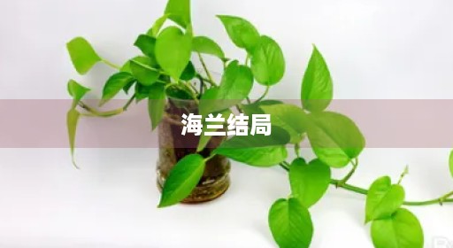 海兰结局 海兰结局