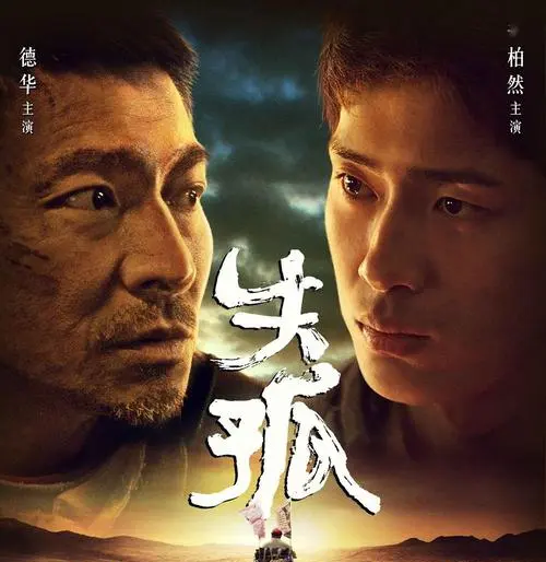 失孤原型拐卖案,电影《失孤》原型事件图8