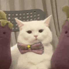 可以做开源项目的网站（个超棒的开源项目）(1)