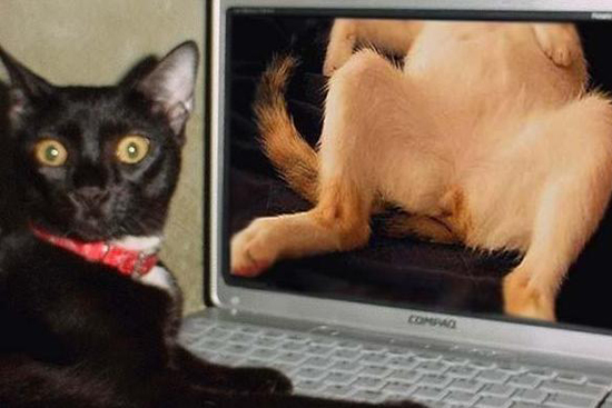 那些动物界里千奇百怪的丁丁，外形奇诡尺寸惊人