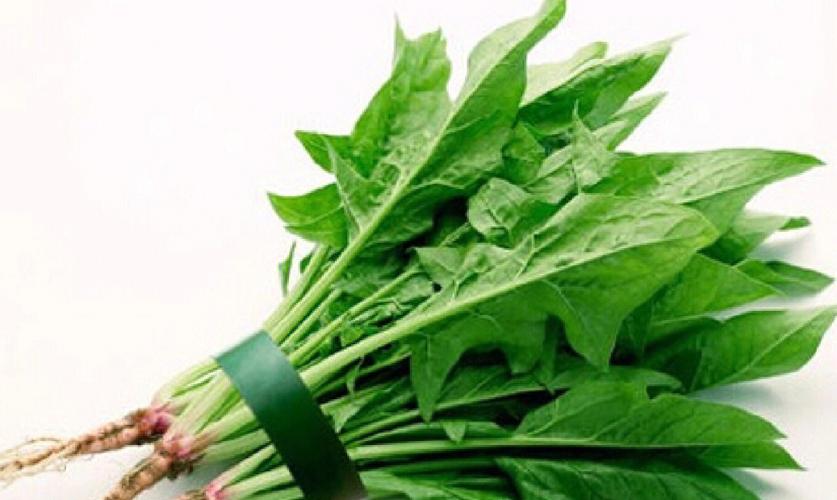 菠菜的营养价值及功效与作用（常吃常健康）