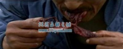 ​基维亚克:寰球最恶心的食物之一 海燕躲在海豹尸身发酵3年