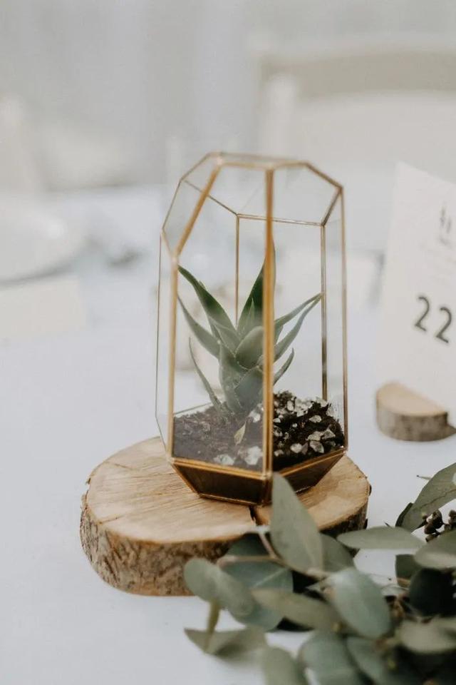 适合婚礼布置的鲜花(这些元素也可以布置婚礼)(21)