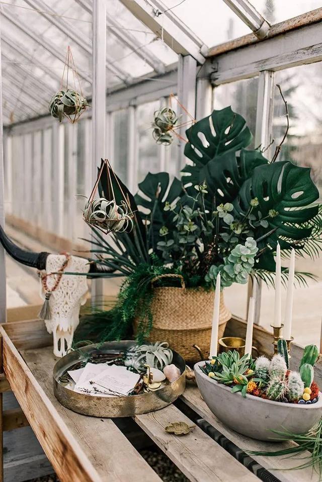 适合婚礼布置的鲜花(这些元素也可以布置婚礼)(27)