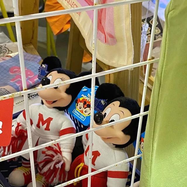 先谋生再谋爱类型壁纸(背景头像先谋生而再谋爱)(16)