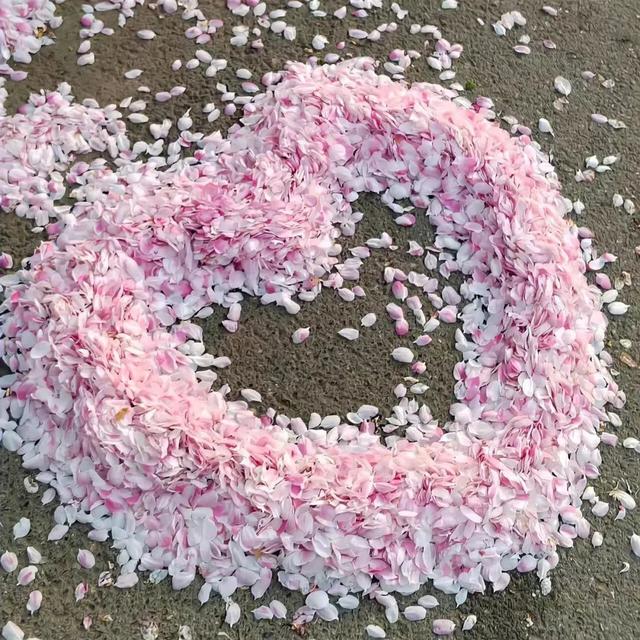 先谋生再谋爱类型壁纸(背景头像先谋生而再谋爱)(7)