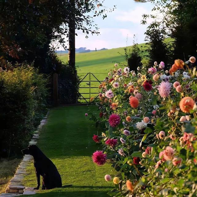 先谋生再谋爱类型壁纸(背景头像先谋生而再谋爱)(10)