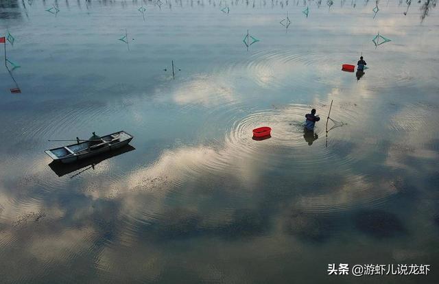 全国小龙虾地图出炉(十大小龙虾产地之盱眙县)(2)