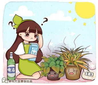 ​正确的给花浇水方法（给花浇水要小心）