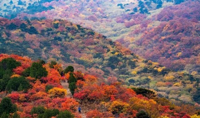 海清主演的电视剧有哪些(海清十大经典影视剧推荐)
