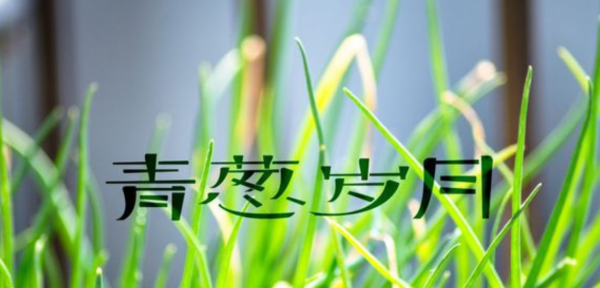 青葱岁月是什么意思,青葱岁月的唯美句子葱岁月是什么意思图2