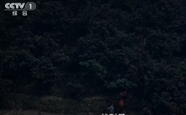 大山的女儿电视剧免费观看(大山的女儿电视剧免费在线观看) 大山 女儿 第7张