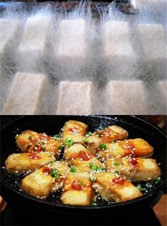 毛霉菌病由什么引起（毛霉菌病离你有多远）(3)