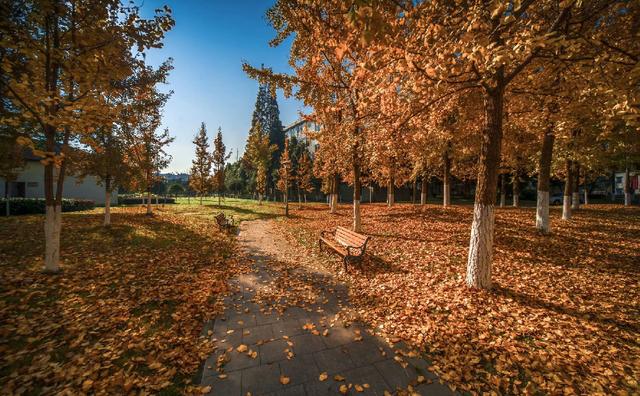 全国四所最好的专科院校(3所值得选择的专科院校)(1)