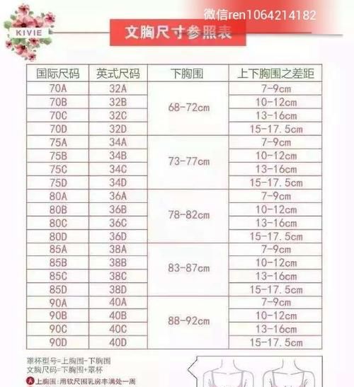 胸罩号码是什么意思：