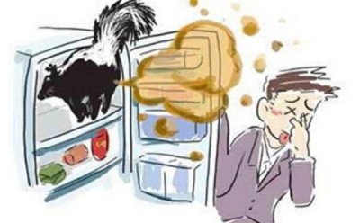 ​冰箱怎么样除臭，小块竹炭搁冰箱（柠檬切二半搁冰箱）