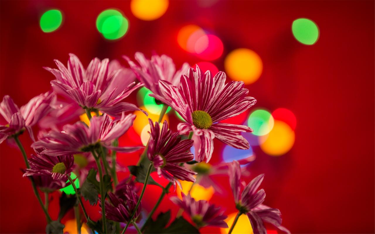 不打新冠疫苗有啥后果（不打新冠疫苗有什么危害呢）