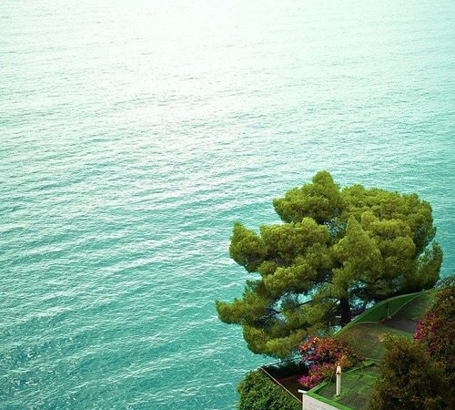 夏天风景句子唯美简短句子