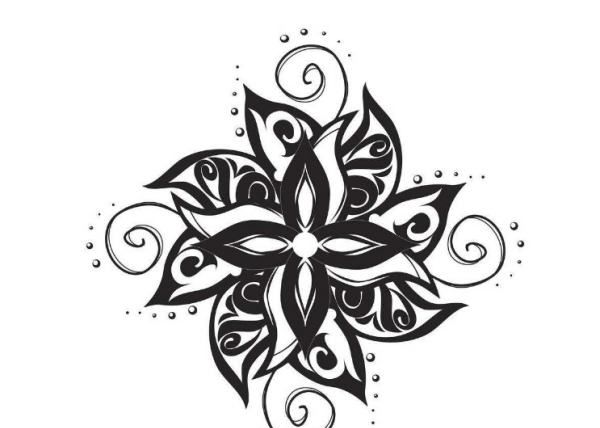 图形与图像的区别,图像和图形有什么区别呢图4