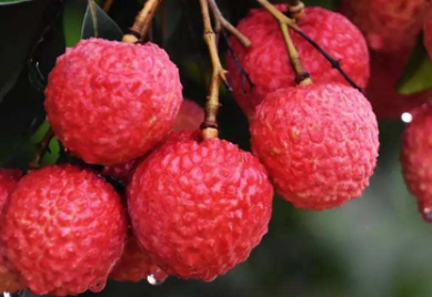 1621136919873696.png image.png