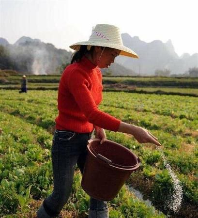 尿液几天浇一次蔬菜