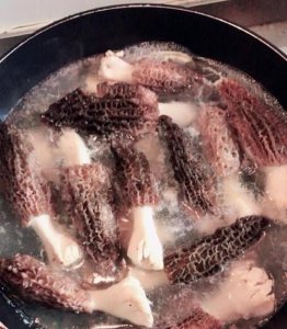 ​羊肚菌需要焯水,羊肚菌怎么吃