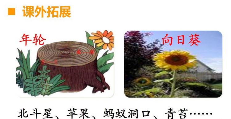 要是你在野外迷了路大自然有哪些天然的指南针