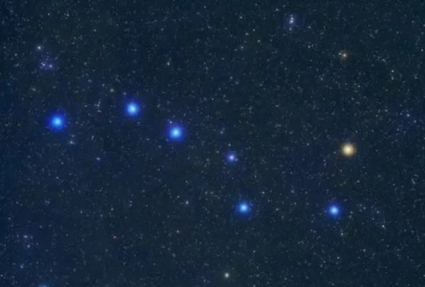 天然的指南针有哪些 ,要是你在野外迷了路大自然有哪些天然的指南针图4