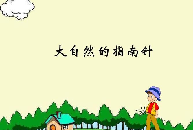 天然的指南针有哪些