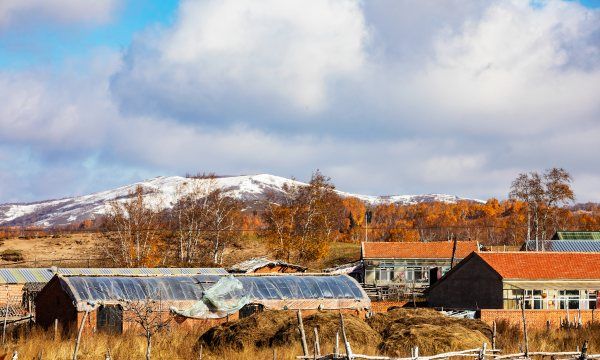 小年吃饺子是中午还是晚上,小年怎么吃什么图12