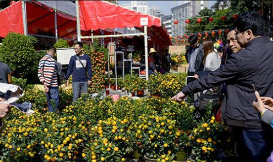 广东过年红包风俗,广东除夕夜有什么风俗作文图6