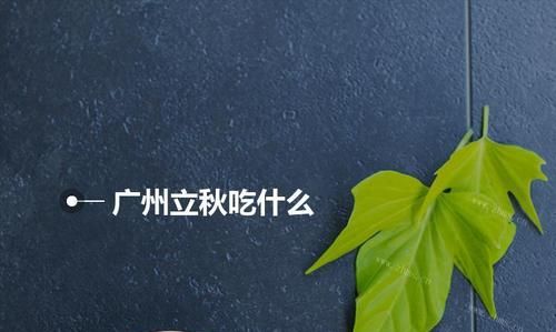 山东立秋当天吃什么