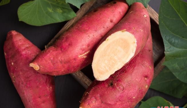 立秋当天吃什么好