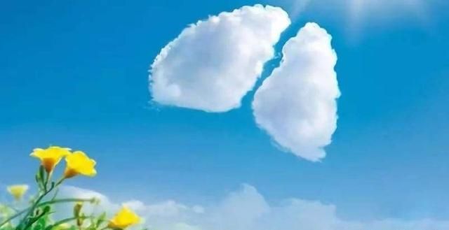 中国立秋当天吃什么，山东立秋当天吃什么？图14