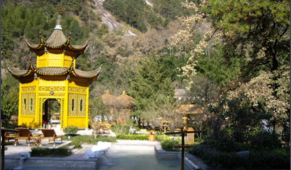 黄山四绝指的是哪四个,黄山四绝指的是什么图6