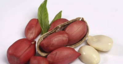 ​花生出芽了还能吃,花生发芽能吃吗?