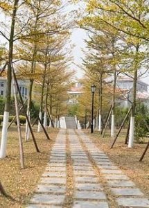 ​三竿是几点钟，假期留校是一种怎样的感受？