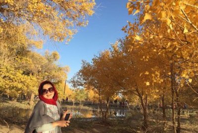 ​额纳吉胡杨林在哪里,大漠胡杨林景区在哪里